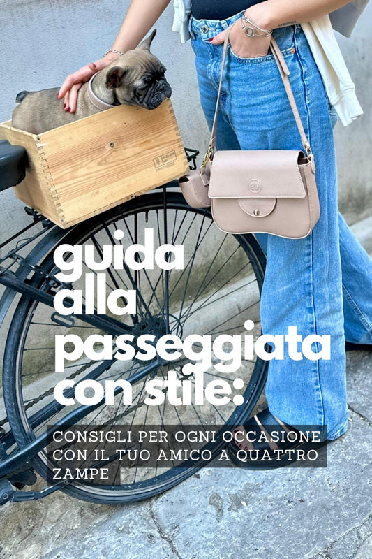 Guida alla passeggiata con stile: consigli per ogni occasione con il tuo amico a quattro zampe