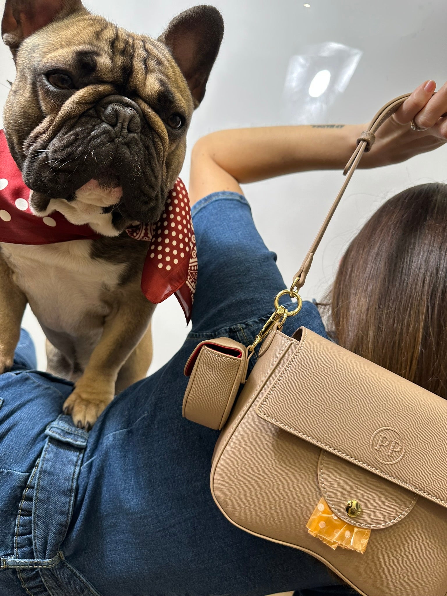 BORSA PER DOG MOM - BORSA CON PORTA SACCHETTINI - BORSA PER PASSEGGIATE CON IL CANE - BORSA CON PORTA SNACK - BORSA MODA PET-FRIENDLY - DISPENSER SACCHETTINI PER CANE - PORTA SNACK PER CANE