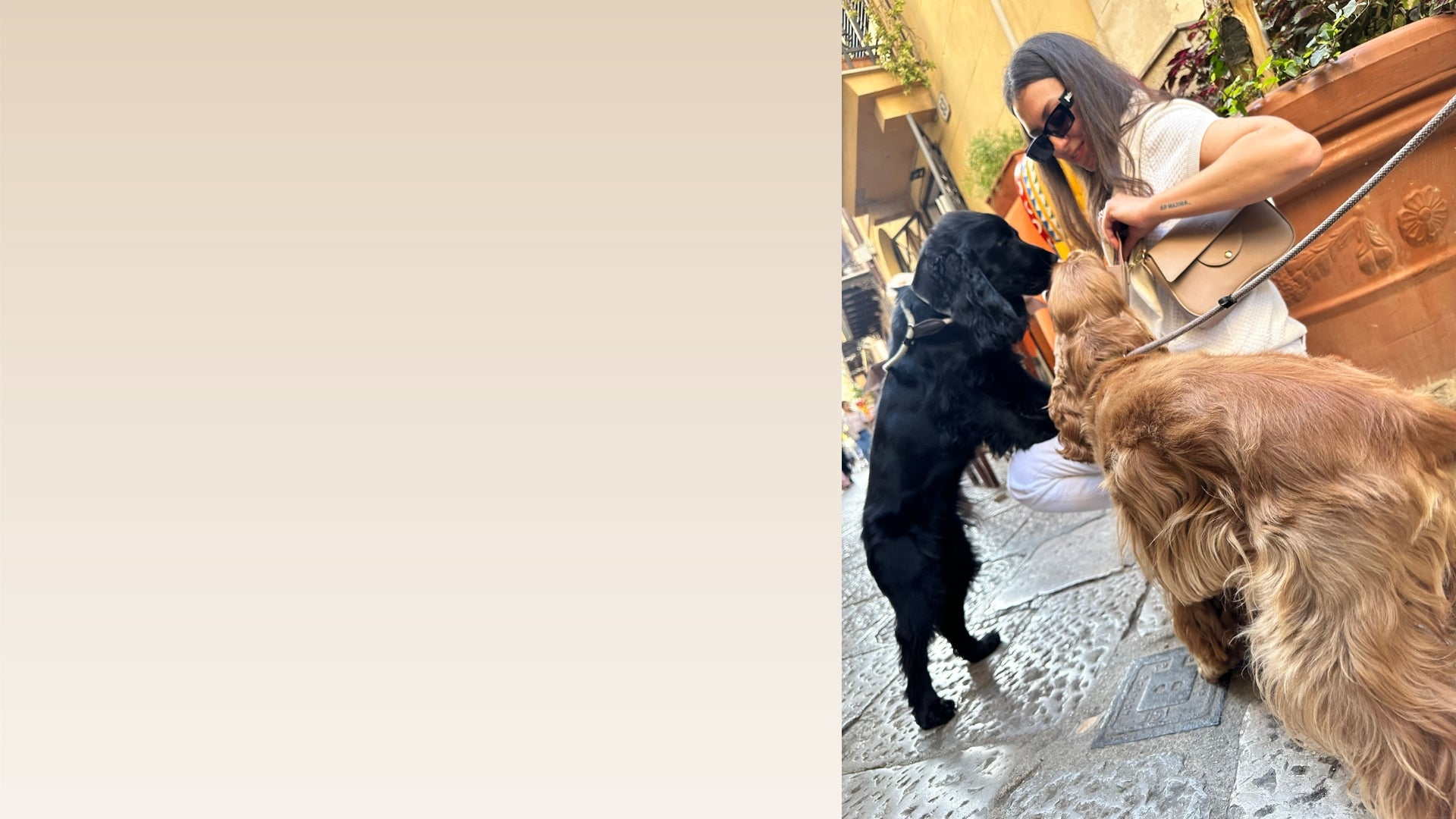 BORSA PER DOG MOM - BORSA CON PORTA SACCHETTINI - BORSA PER PASSEGGIATE CON IL CANE - BORSA CON PORTA SNACK - BORSA MODA PET-FRIENDLY - DISPENSER SACCHETTINI PER CANE - PORTA SNACK PER CANE